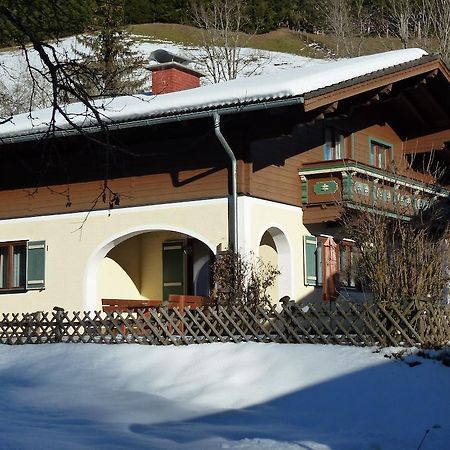 Ferienhaus Teigi Wagrain Exteriér fotografie